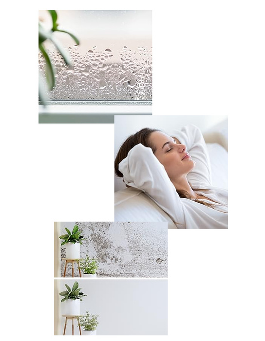 Pro Breeze 500ml Premium Osuszacz Powietrza - Ultra Cicha Technologia Peltiera