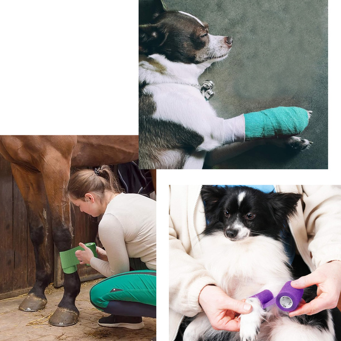 Bandaż elastyczny kohezyjny dla zwierząt Bodhi&Digby 10cm x 4,5m mix kolorów