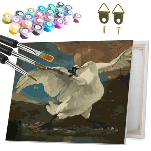 Malowanie po numerach 40x50 cm na ramie Łabędź w obliczu zagrożenia