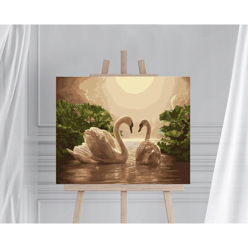 Malowanie po numerach 40x50 cm na ramie Łabędzie